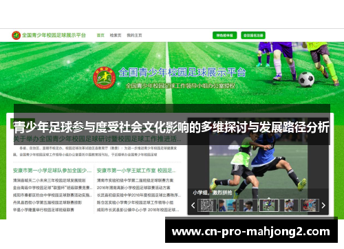 青少年足球参与度受社会文化影响的多维探讨与发展路径分析